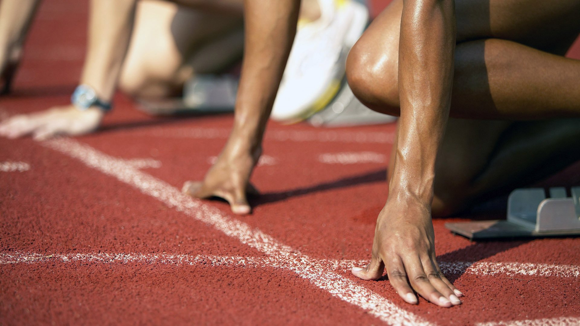 各国球迷文化:用不同声音讲述足球的魅力,不同国家的足球文化